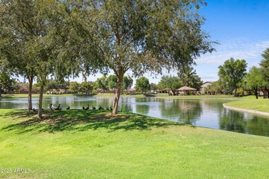 251 W Flamingo Dr, Chandler, AZ 85286 - photo 6