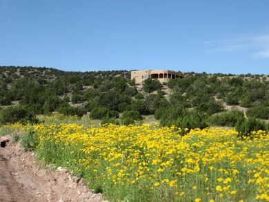 9 Cerrito Rojo Rd, Placitas, NM 87043 - photo 3