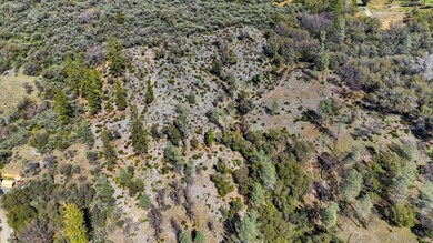 10530 Grubstake Trail, Rough and Ready, CA 95975 - photo 6