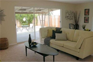 Lots of light from the large windows/sliding glass