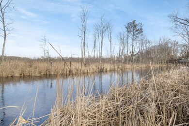 3112 Rolling Hill Ave, Portage, MI 49024 - photo 4