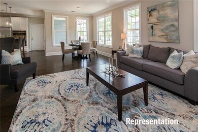 Representational Photo Only