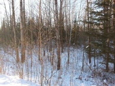 26.6 acres Old Highway 51 unit `and Nelson Avenue, Merrill, WI 54452 - photo 3