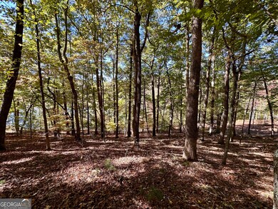 0 Forked Leaf Rd unit 29 10594626, Cleveland, GA 30528 - photo 4