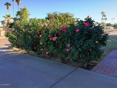 beautiful flowers to welcome you!