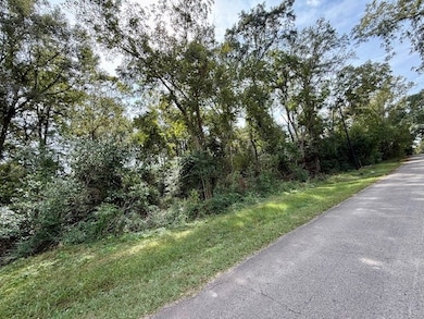 915 E Court St, Newton, TX 75966 - photo 6