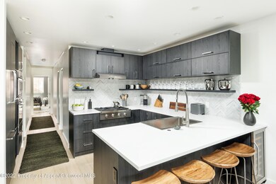 450 S Original St unit 8, Aspen, CO 81611 - photo 6