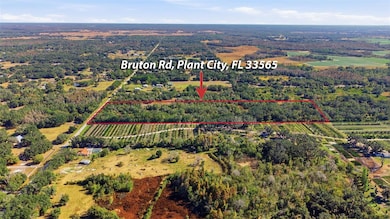 0 Bruton Rd unit MFRA4673522, Plant City, FL 33565 - photo 4
