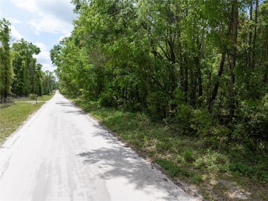 208 Street Suwannee Oaks Dr, O Brien, FL 32071 - photo 2