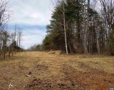 0 Twymans Mill Rd unit 627807, Madison, VA 22719 - photo 3