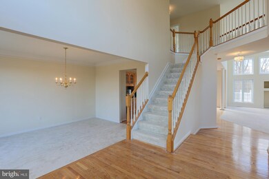 14 Morning Mist Ct, Woodstock, MD 21163 - photo 6