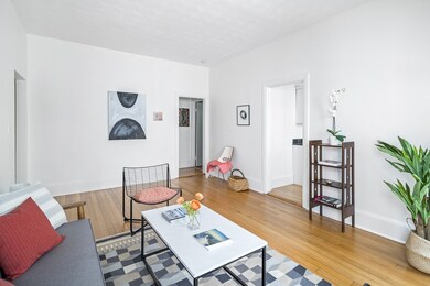 15 Trowbridge St unit 3, Cambridge, MA 02138 - photo 5