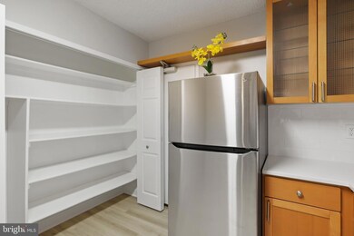 Skyline Plaza unit 502N, Baileys Crossroads, VA 22041 - photo 6