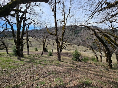 705 Bigfoot Path Rd, Kettenpom, CA 95595 - photo 2