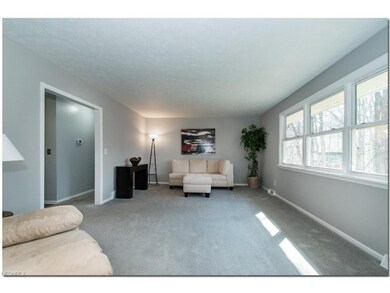 Spacious Living RoomWith Built-ins