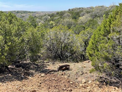 243 Cottongame Dr, Weatherford, TX 76088 - photo 3