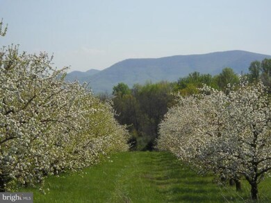 0 Buffalo Marsh Rd unit 1004780794, Middletown, VA 22645 - photo 2
