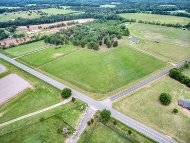 Amazing Established Pasture