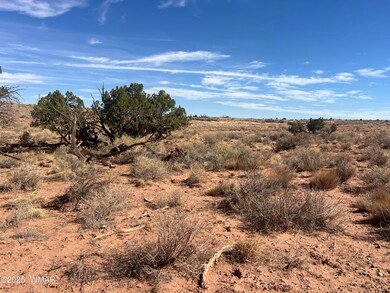 8362 Cupples Trail, Snowflake, AZ 85937 - photo 7