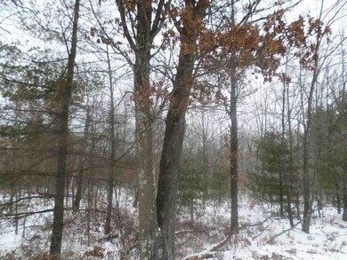 0 County Road H unit 1734948, Cutler, WI 54618 - photo 6