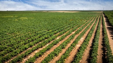 5648 N Montpelier Rd, Denair, CA 95316 - photo 5