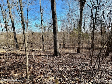 Image00003