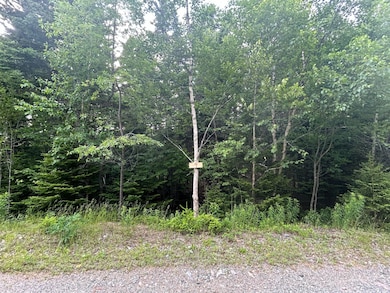 Lot 9