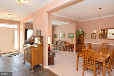 21628 Merion St, Ashburn, VA 20147 - photo 4