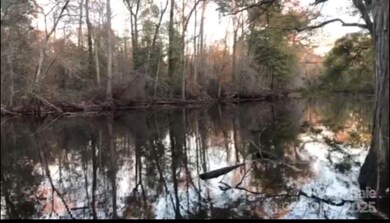 1824 Germantown Place, Dillon, SC 29536 - photo 3