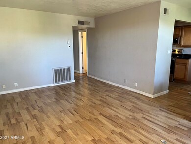 main area
