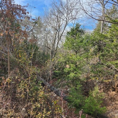 TBD Cr 2395, Alvord, TX 76225 - photo 5