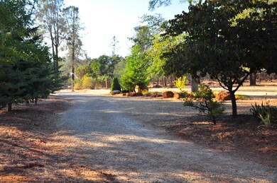 Driveway to Front Gate