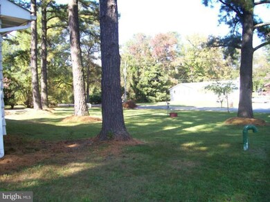 213 Bay City Rd, Stevensville, MD 21666 - photo 2