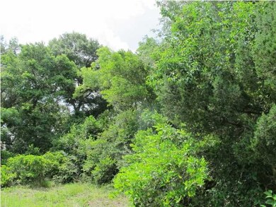 304 NW 9th St unit Nw, Carrabelle, FL 32322 - photo 3