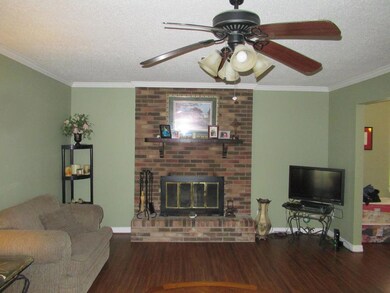 Living Room w/Wood Burning Fireplace