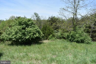 0 Maple Ridge unit MDWA2010406, Hancock, MD 21750 - photo 3