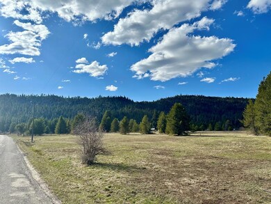 14 Smiths Ferry Dr unit 61, Parcel 2, Cascade, ID 83611 - photo 6