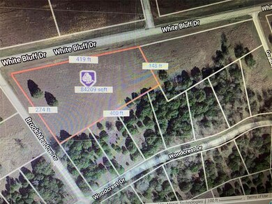 1010 White Bluff Dr, Whitney, TX 76692 - photo 5