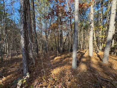 1151 Buckhead Dr, Tignall, GA 30668 - photo 6