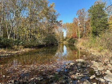 2664 M St, Ironton, MO 63650 - photo 6