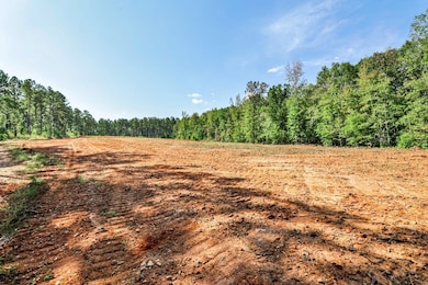 0 Old Zebulon Rd unit 25091897, Forsyth, GA 31029 - photo 2