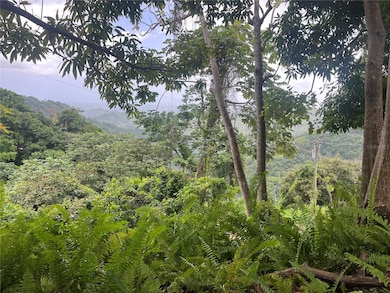 KM 19.9 Carr 128, Yauco, PR 00698 - photo 2