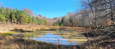 Partlow Rd, Beaverdam, VA 23015 - photo 7