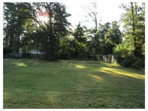 Yard.