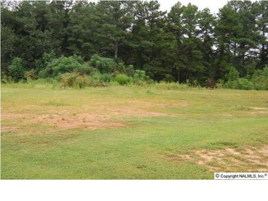 0 Randles Rd, Grant, AL 35747 - photo 4