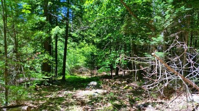along the trail