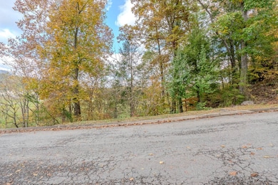 Lot 5 Mountain Lodge Way, Pigeon Forge, TN 37862 - photo 2