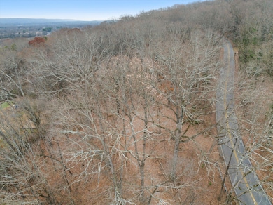 0 Hamill Rd unit RTC2969382, Chattanooga, TN 37343 - photo 2