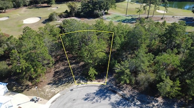 158 Anhinga Trail, Carrabelle, FL 32322 - photo 2