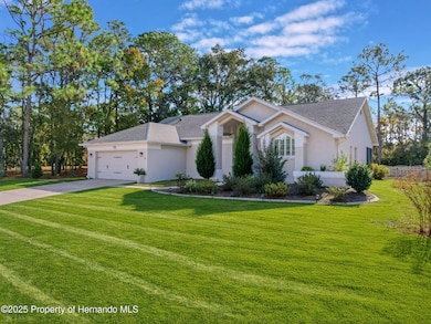 11 Maidenbush Ct E, Homosassa, FL 34446 - photo 4